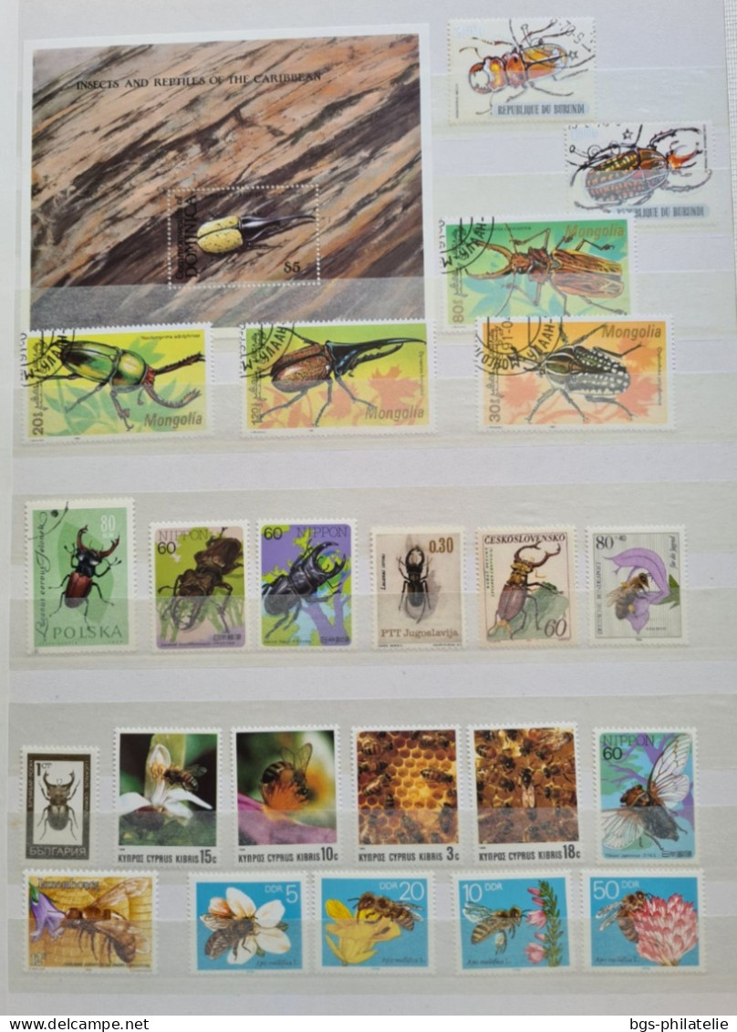 Collection de timbres sur le thème des Insectes.