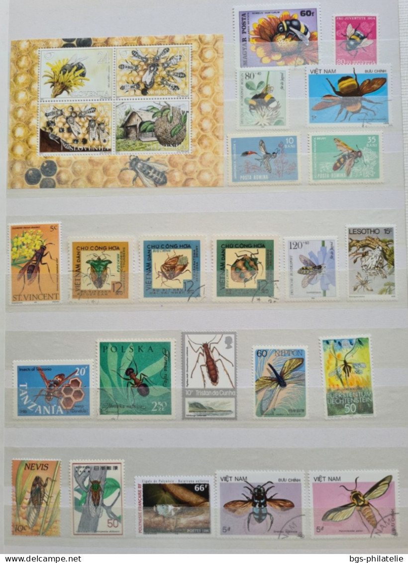 Collection de timbres sur le thème des Insectes.