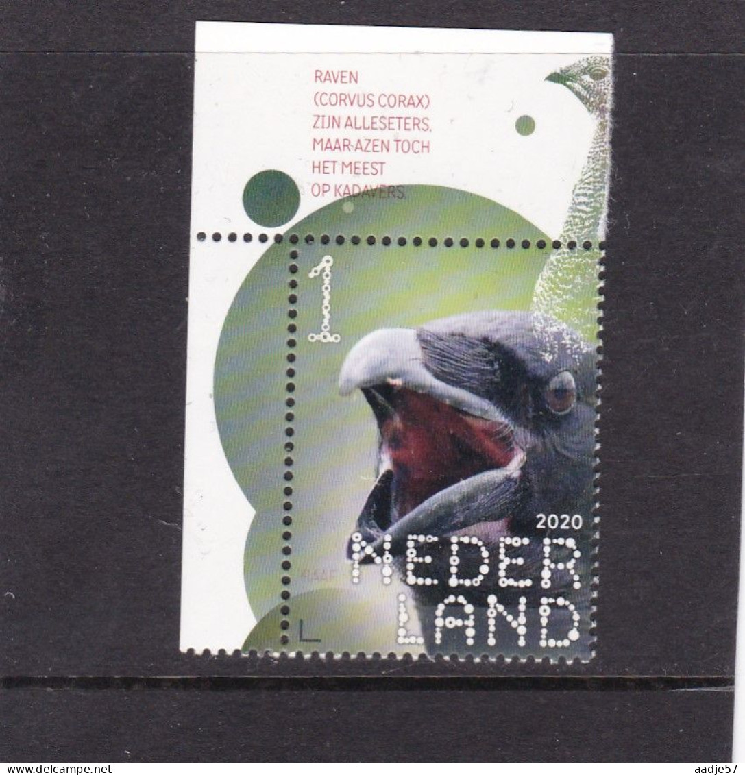 Netherlands Pays Bas 2020 Raaf Raven  MNH** - Unused Stamps