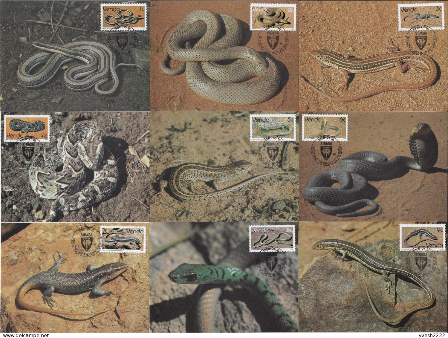 Venda 1986 Y&T 120 à 136 Sur 17 Cartes Maxima. Serpents Et Lézards, Reptiles - Slangen