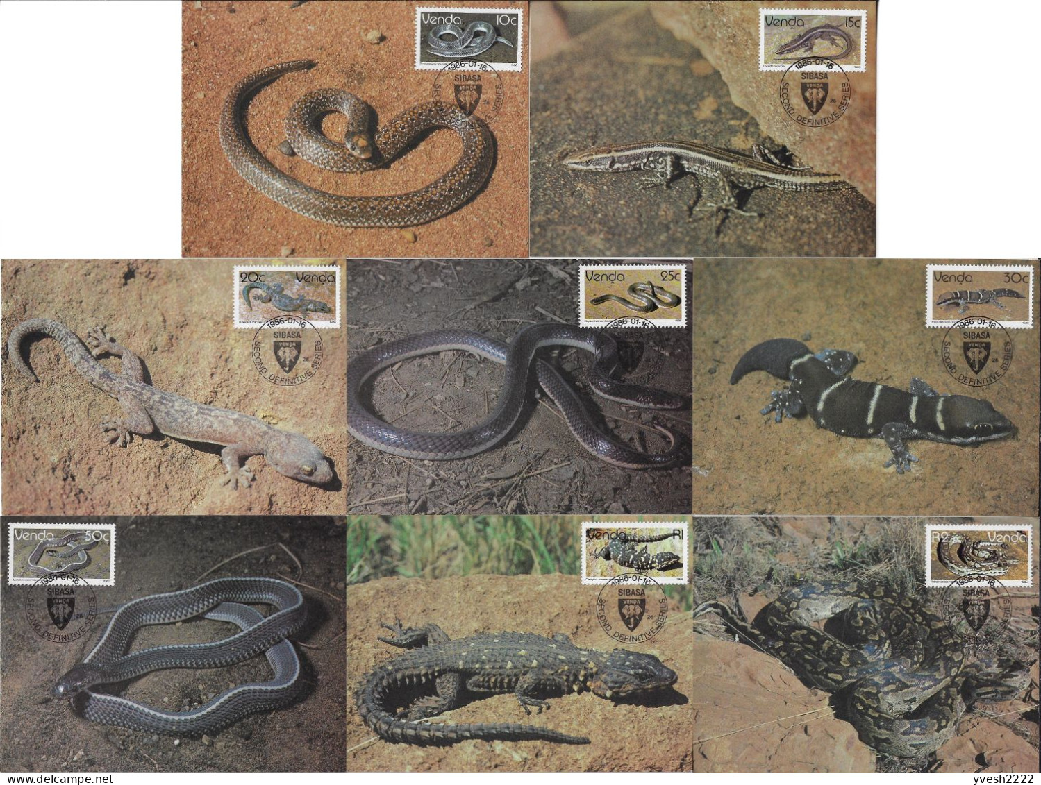 Venda 1986 Y&T 120 à 136 Sur 17 Cartes Maxima. Serpents Et Lézards, Reptiles - Slangen