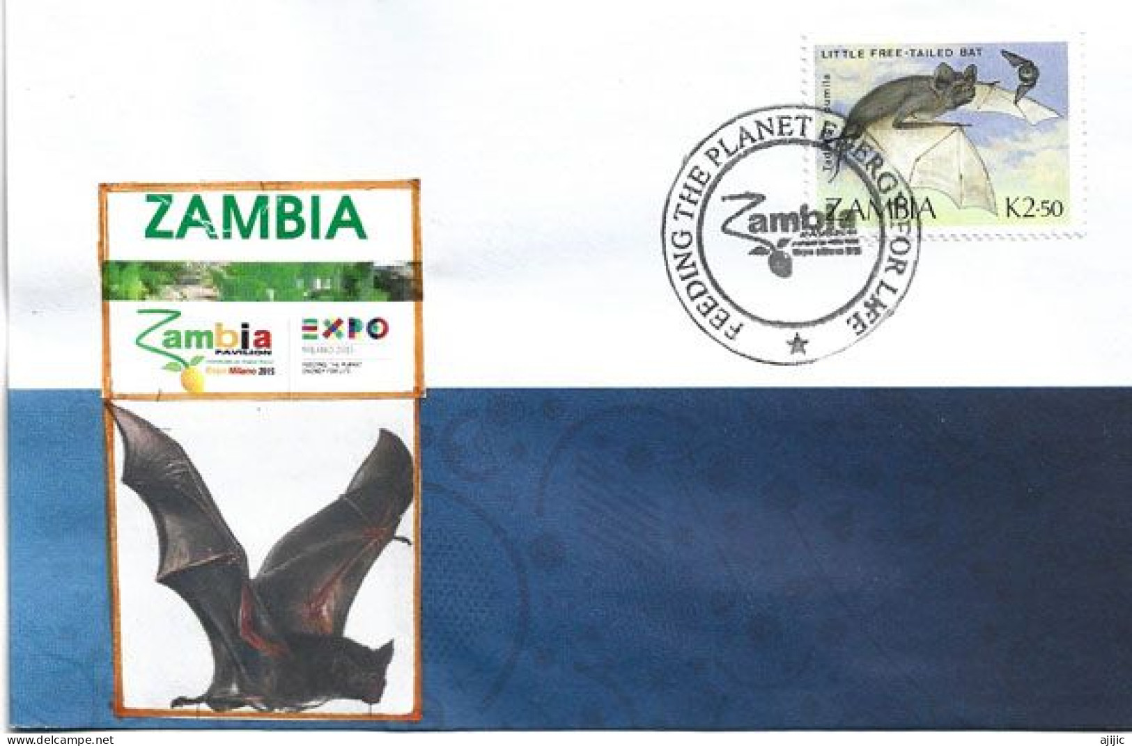 Timbre Petite Chauve-souris à Queue Libre, Sur Lettre Oblitération Pavillon Zambia. Universal Expo Milano - Fledermäuse