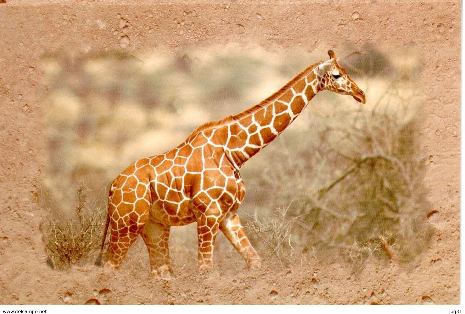 Carte Double World Children's Fund - Girafe - Girafes