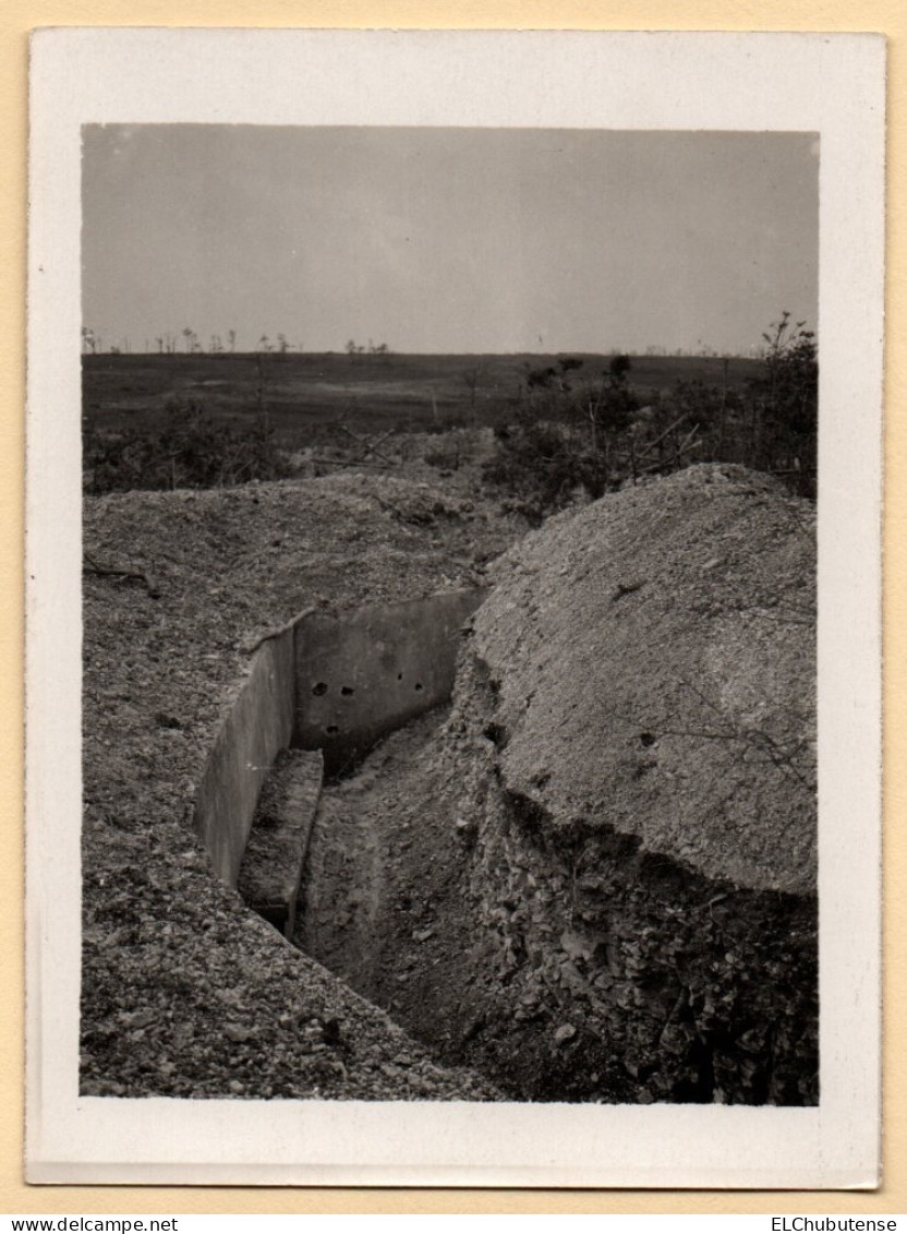 Photo Tranchée Du Bois En Chenille - Secteur Moronvilliers - Champagne Guerre 14-18 WW1 - War, Military