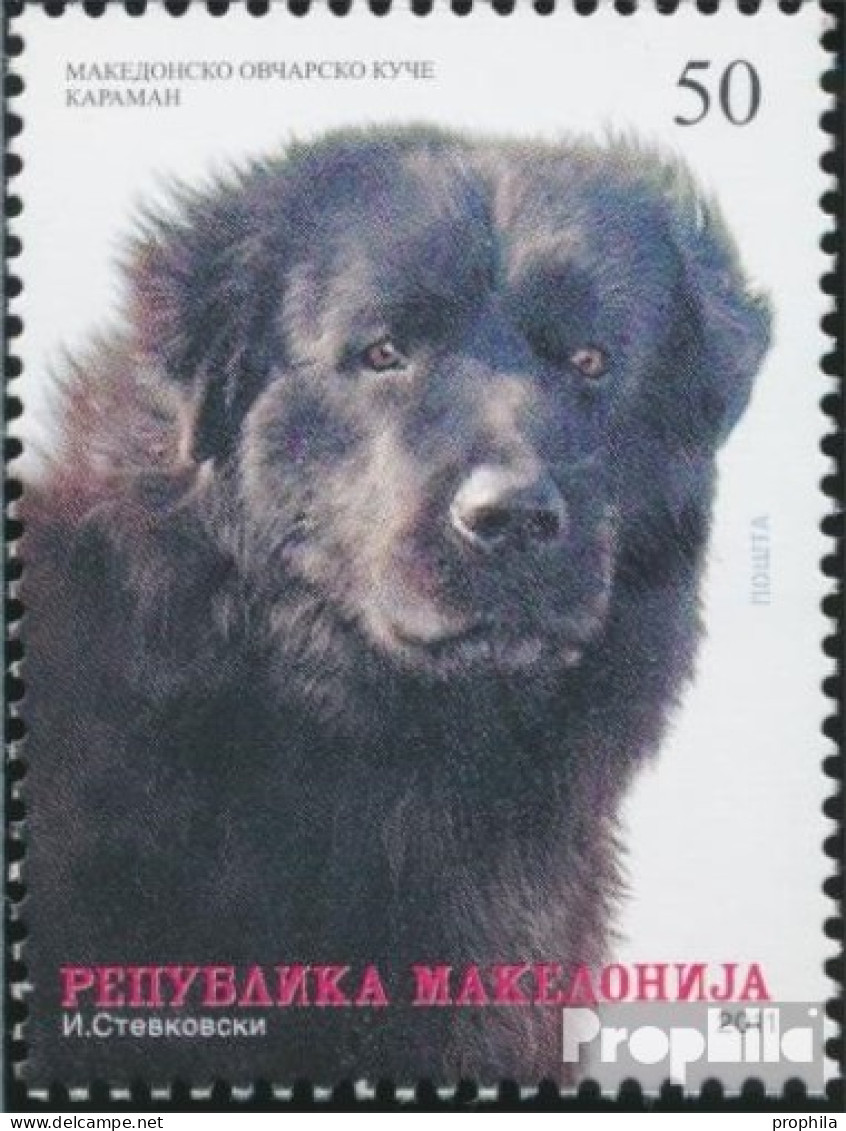 Makedonien 585 (kompl.Ausg.) Postfrisch 2011 Haustiere - Macedonië