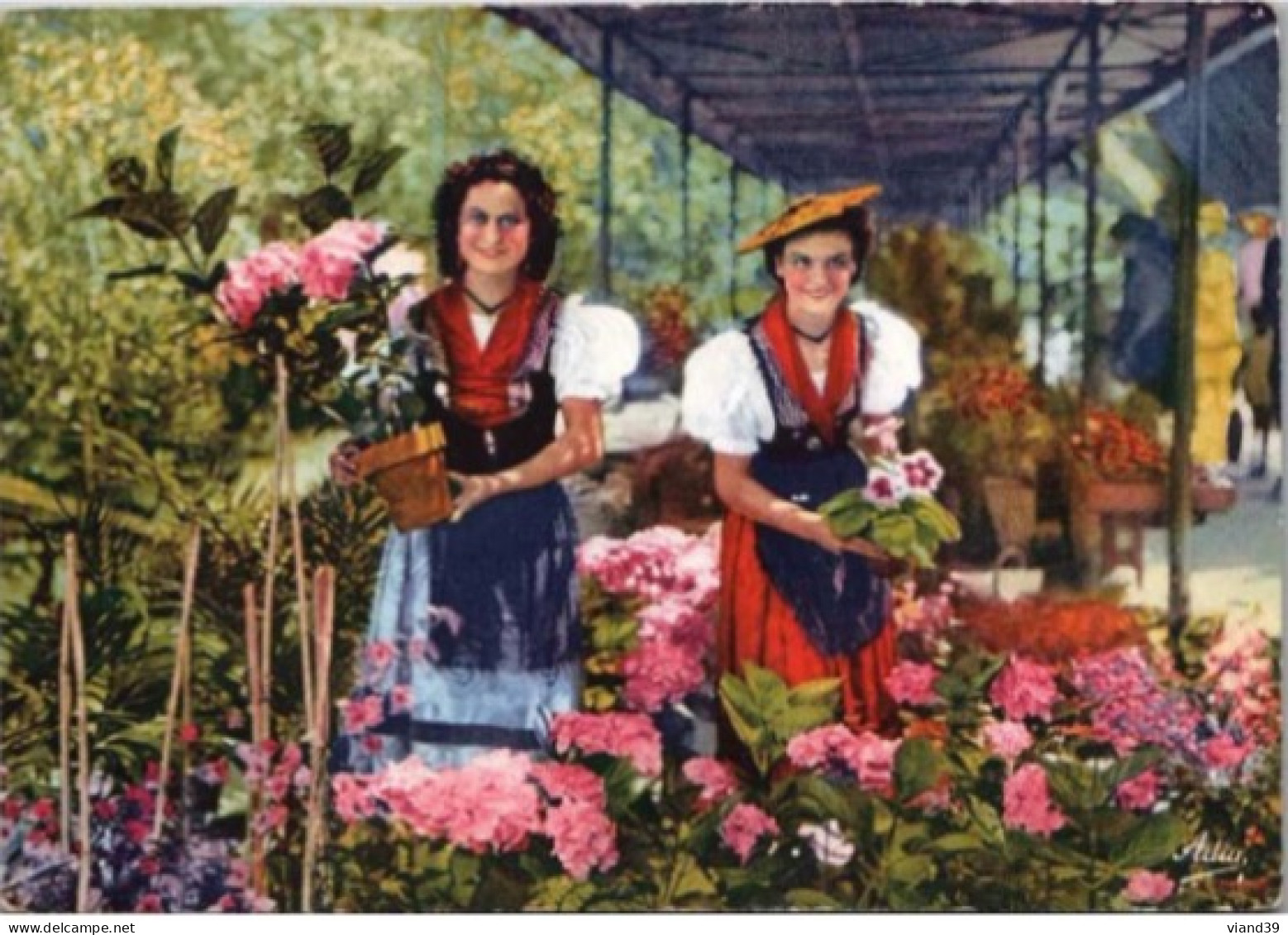 COTE D'AZUR. -  Nicoises, Marchandes De Fleurs - Personen