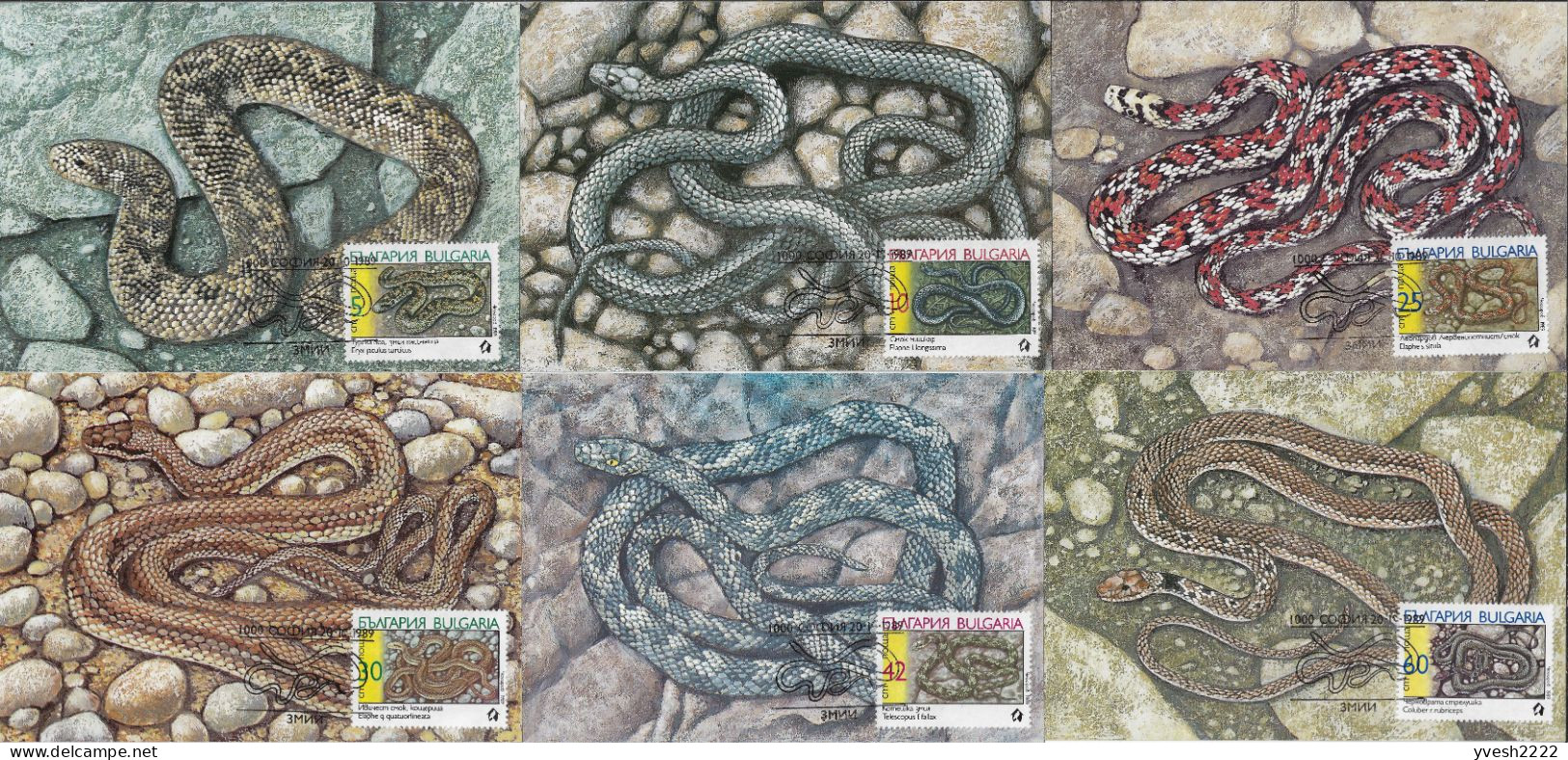 Bulgarie 1989 Y&T 3268 à 3273 Sur 6 Cartes Maxima. Serpents - Serpents