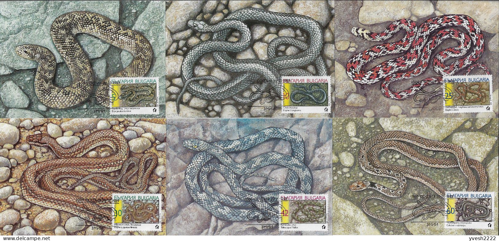 Bulgarie 1989 Y&T 3268 à 3273 Sur 6 Cartes Maxima. Serpents - Serpenti