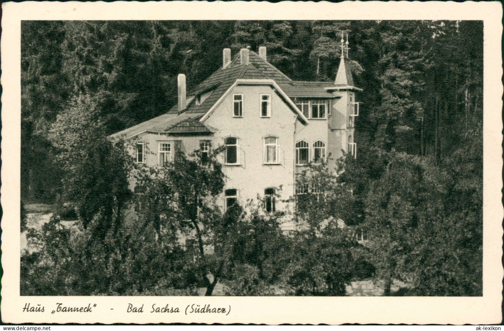 Ansichtskarte Bad Sachsa Haus Tanneck 1956 - Bad Sachsa