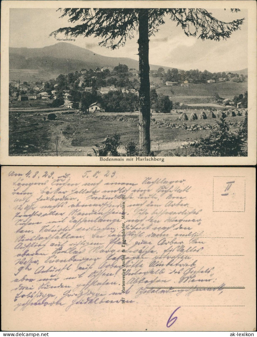 Ansichtskarte Bodenmais Stadt Mit Harlachberg 1923 - Bodenmais