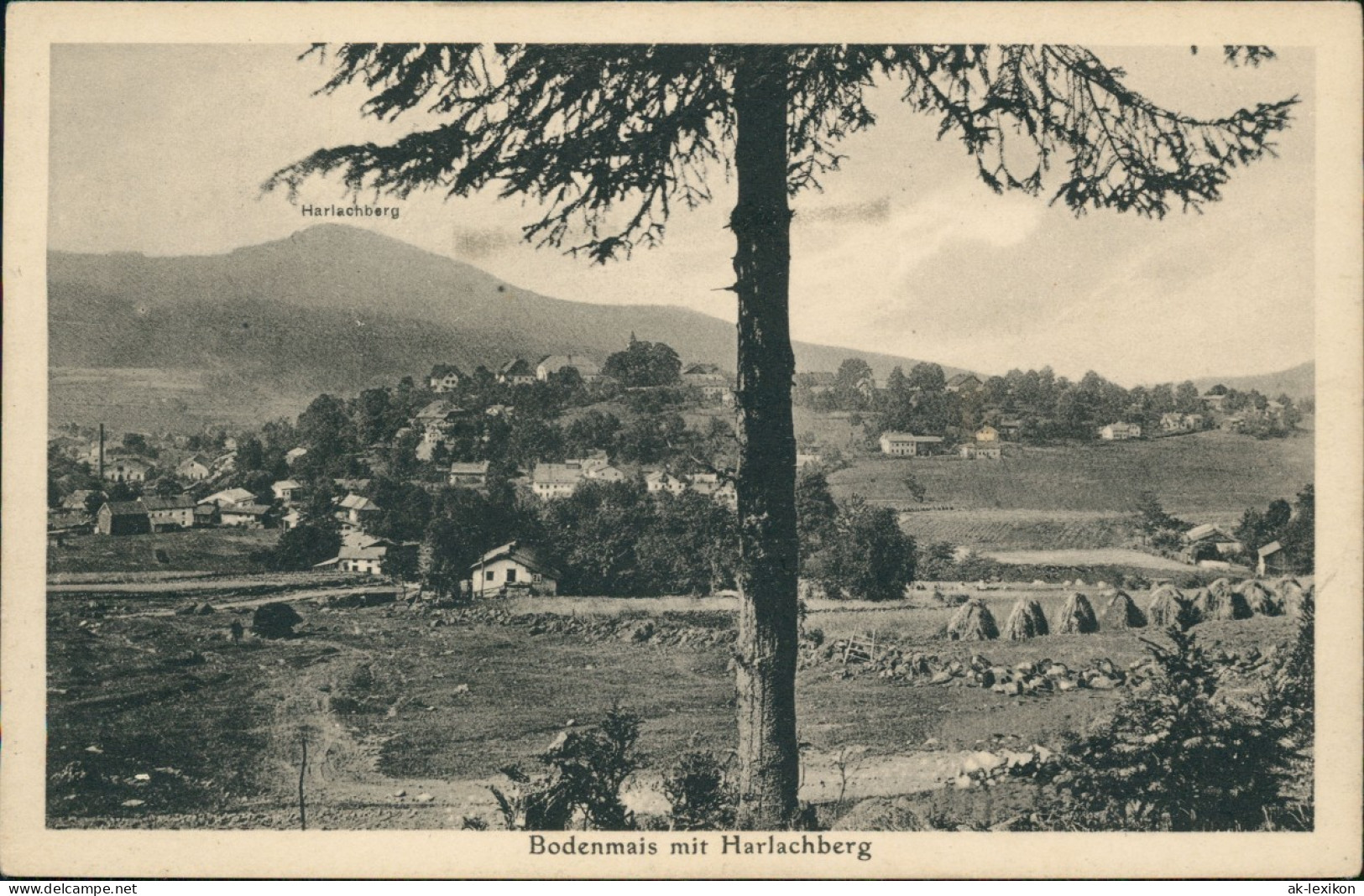 Ansichtskarte Bodenmais Stadt Mit Harlachberg 1923 - Bodenmais