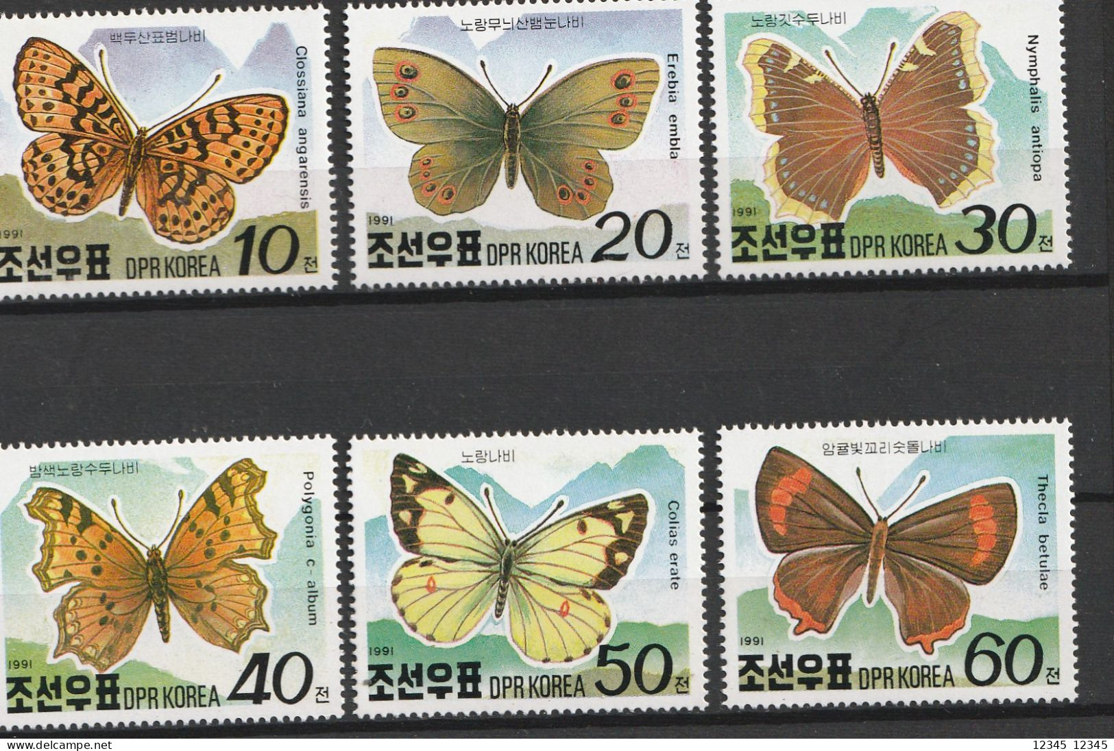 Noord Korea 1991, Postfris MNH, Butterflies - Korea (Nord-)