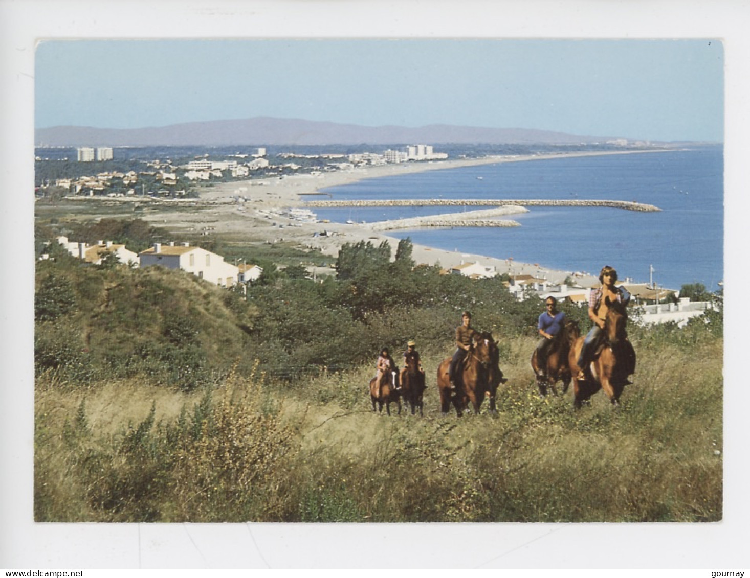 Argeles Sur Mer - Promenade équestre Entre Argelès Et Collioure, Vue Panoramique De La Plage (cp Vierge N°264 Larrey) - Argeles Sur Mer