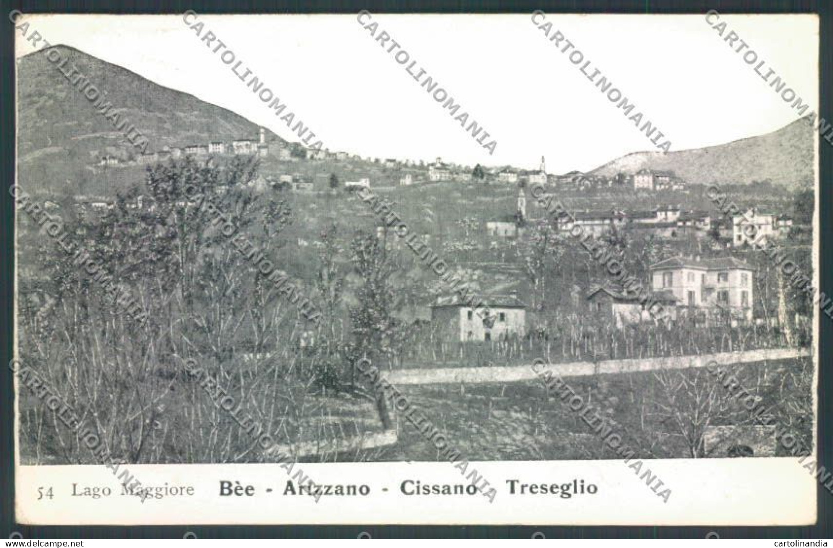 Verbania Bee Arizzano Creseglio Cissano Cartolina ZQ6076 - Verbania