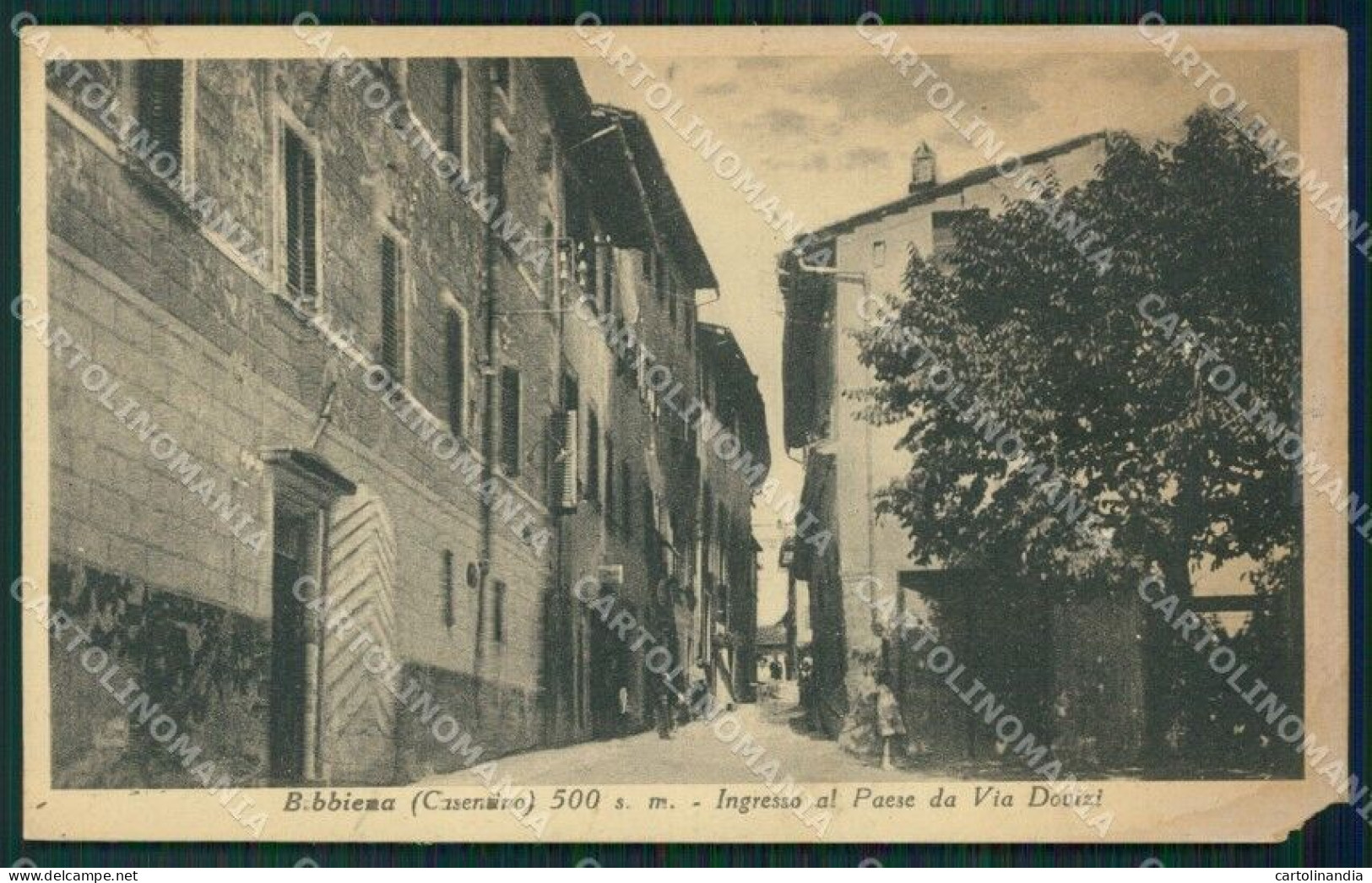 Arezzo Bibbiena ANGOLO ROTTO Cartolina ZKM9386 - Arezzo