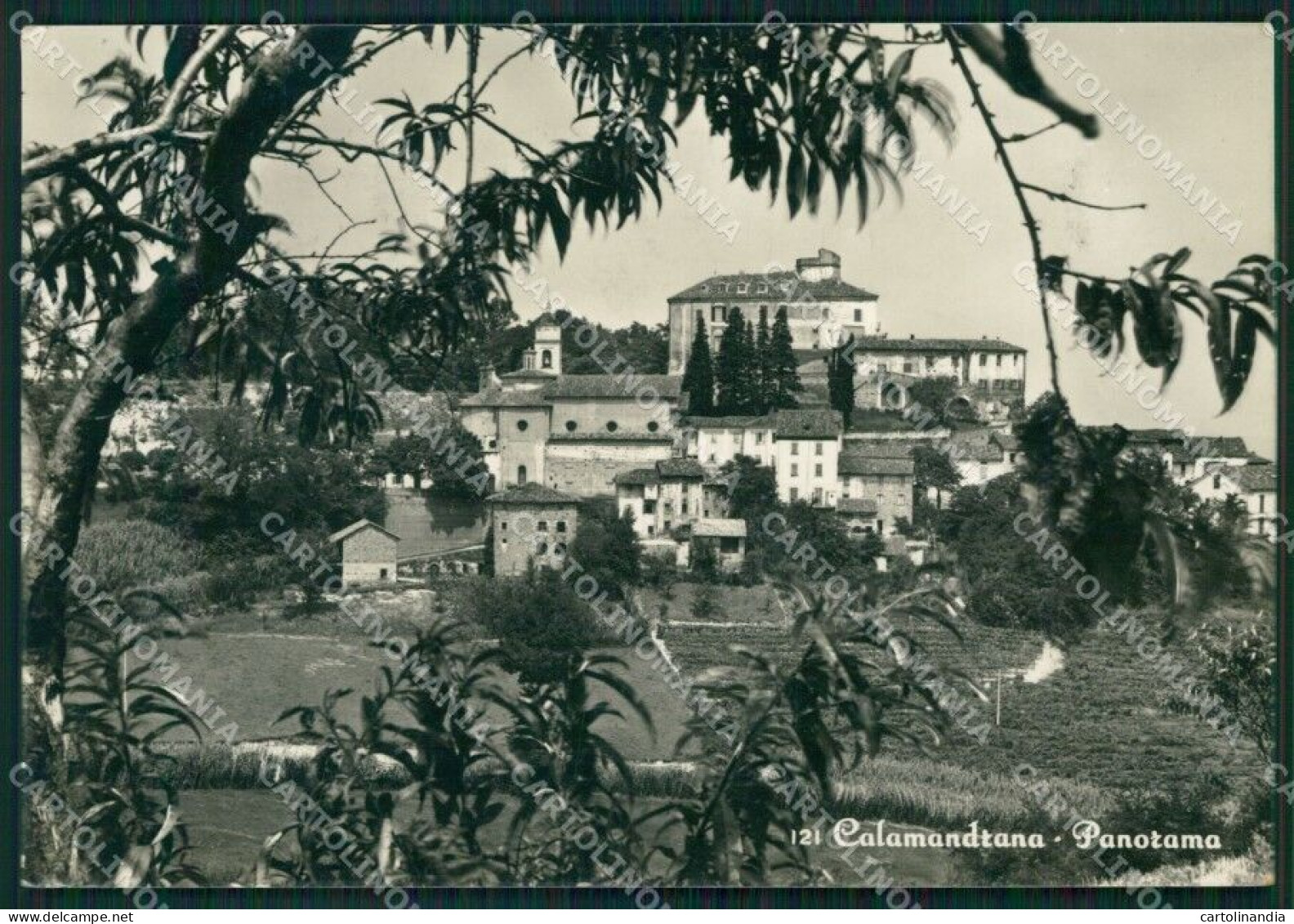 Asti Calamandrana Foto FG Cartolina KB4098 - Asti