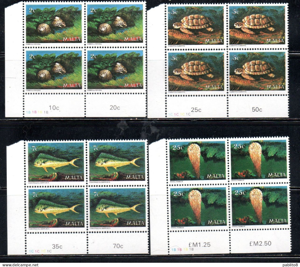 MALTA 1979 SEA FAUNA MARINA MARINE LIFE COMPLETE SET SERIE COMPLETA  BLOCK QUARTINA MNH - Malta