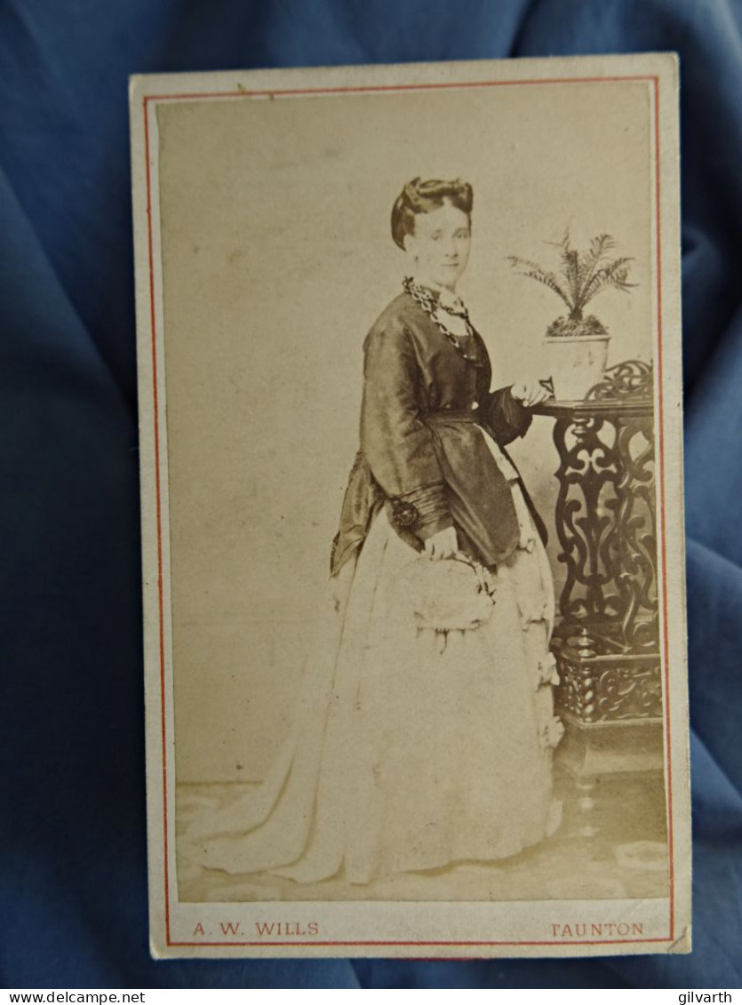 Photo CDV Wills à Taunton  Jeune Femme élégante  Veste En Soie, Belle Coiffure  CA 1875 - L430 - Old (before 1900)