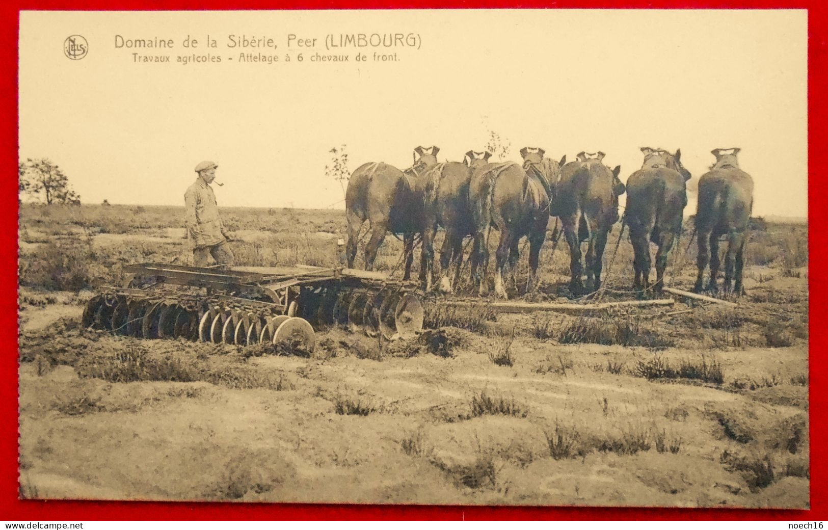 CPA Peer, Domaine De La Sibérie Attelage à 6 Chevaux De Front - Peer