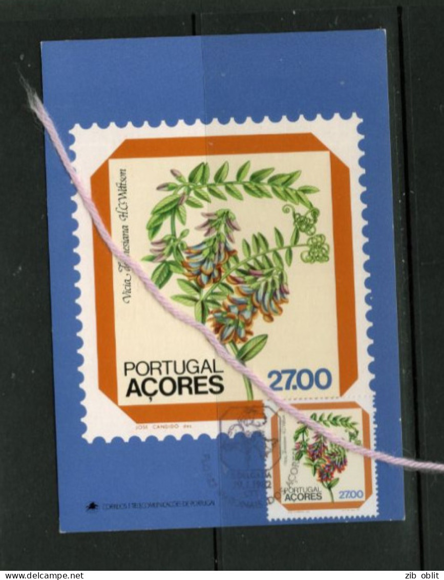 (alm)  CARTE MAXIMUM PORTUGAL ACORES PLANTES - Azores