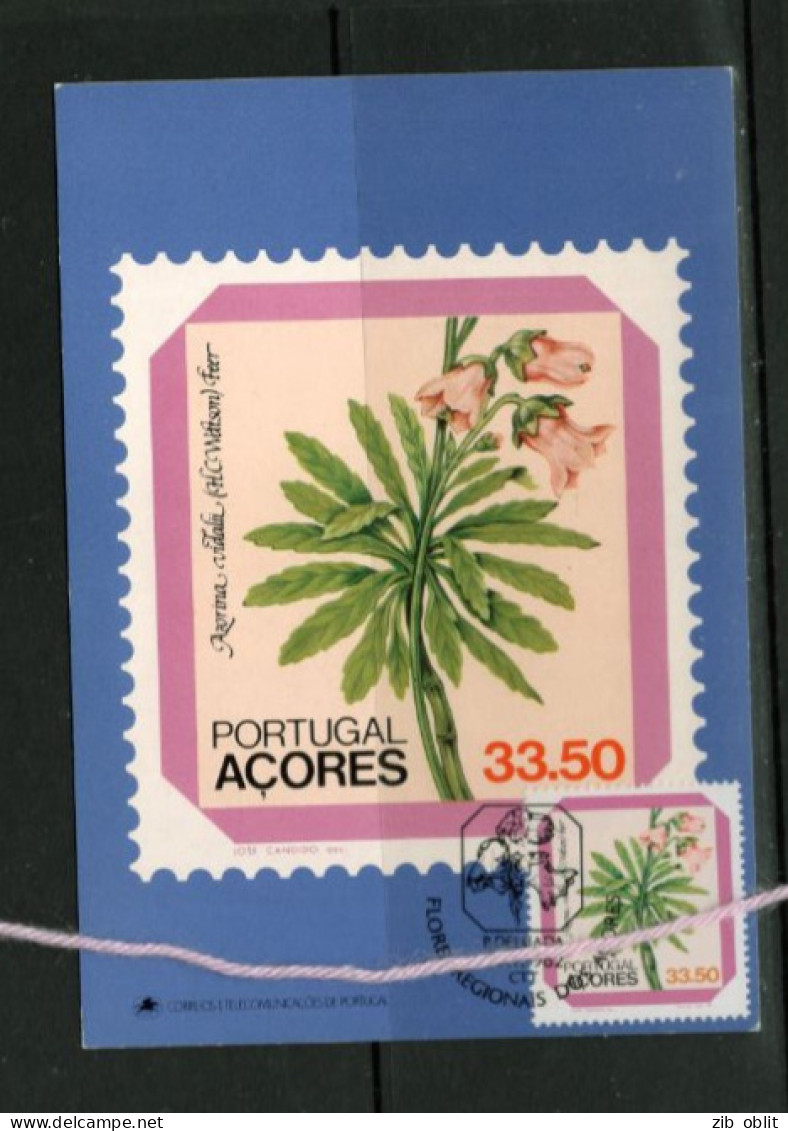 (alm)  CARTE MAXIMUM PORTUGAL ACORES PLANTES - Azores