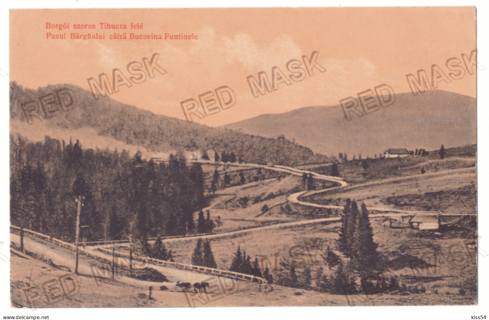 RO 79 - 21082 Pasul TIHUTA, Bucovina, Panorama, Romania - Old Postcard - Unused - 1918 - Romania