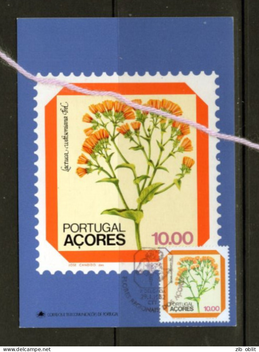 (alm)  CARTE MAXIMUM PORTUGAL ACORES PLANTES - Azores