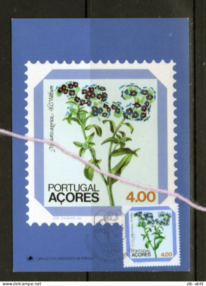 (alm)  CARTE MAXIMUM PORTUGAL ACORES PLANTES - Azoren