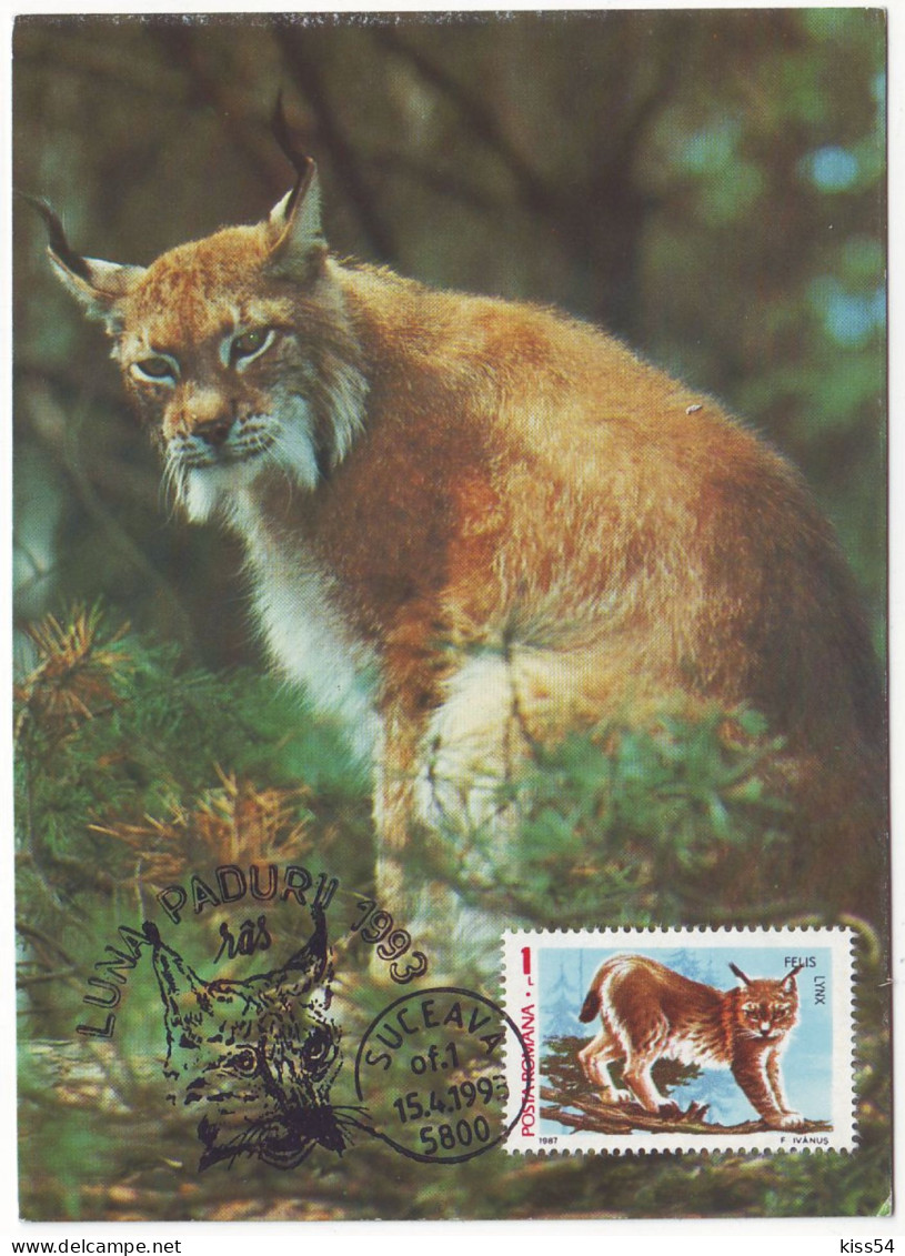 MAX 33 - 309 LYNX, Romania - Maximum Card - 1993 - Big Cats (cats Of Prey)