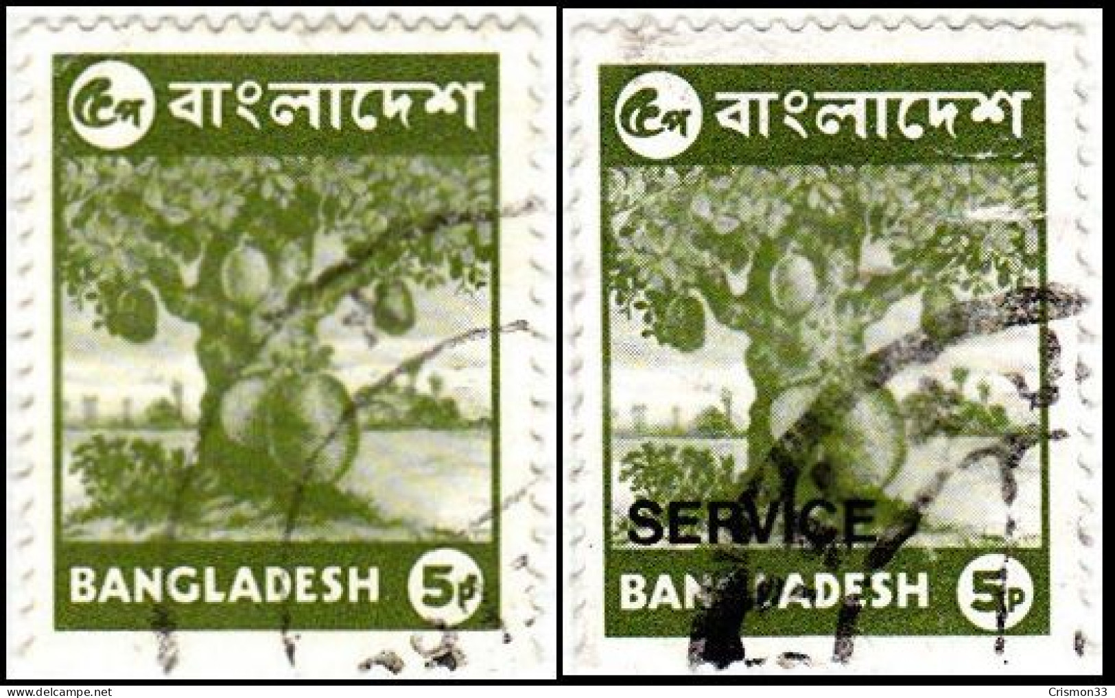 1976 - BANGLADESH - ARBOL DE JACA - YVERT 64,S12 - Bangladesh