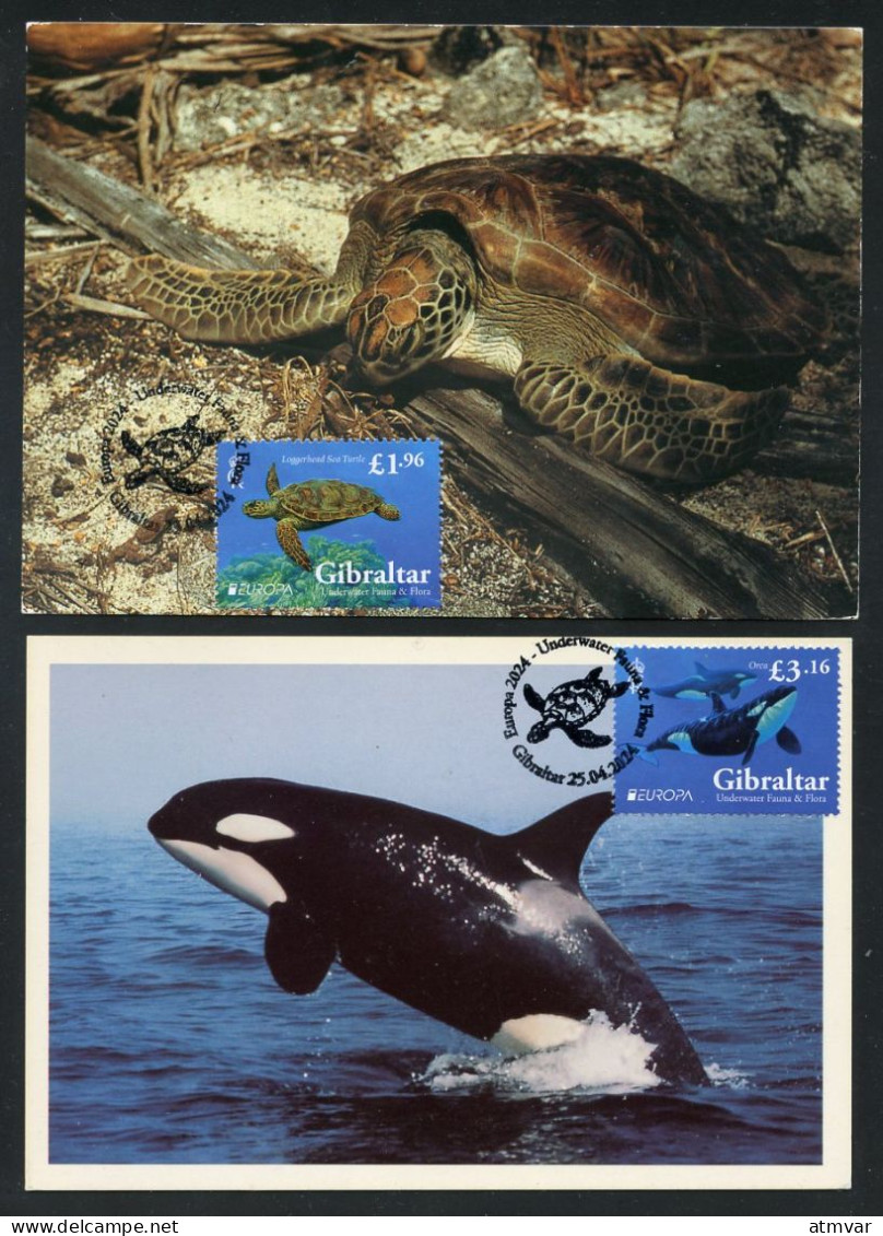 GIBRALTAR (2024) Carte S Maximum Card S  - EUROPA 2024 Underwater Fauna & Flora, Loggerhead Sea Turtle, Caretta, Orca - Gibilterra