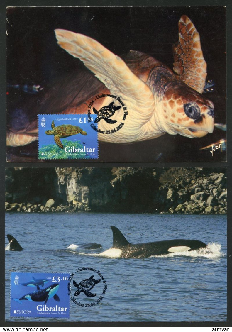 GIBRALTAR (2024) Carte S Maximum Card S  - EUROPA 2024 Underwater Fauna & Flora, Loggerhead Sea Turtle, Caretta, Orca - Gibilterra