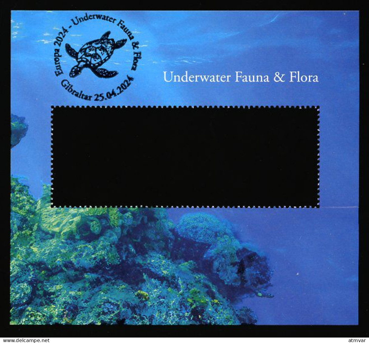 GIBRALTAR (2024) Carte S Maximum Card S  - EUROPA 2024 Underwater Fauna & Flora, Loggerhead Sea Turtle, Caretta, Orca - Gibraltar