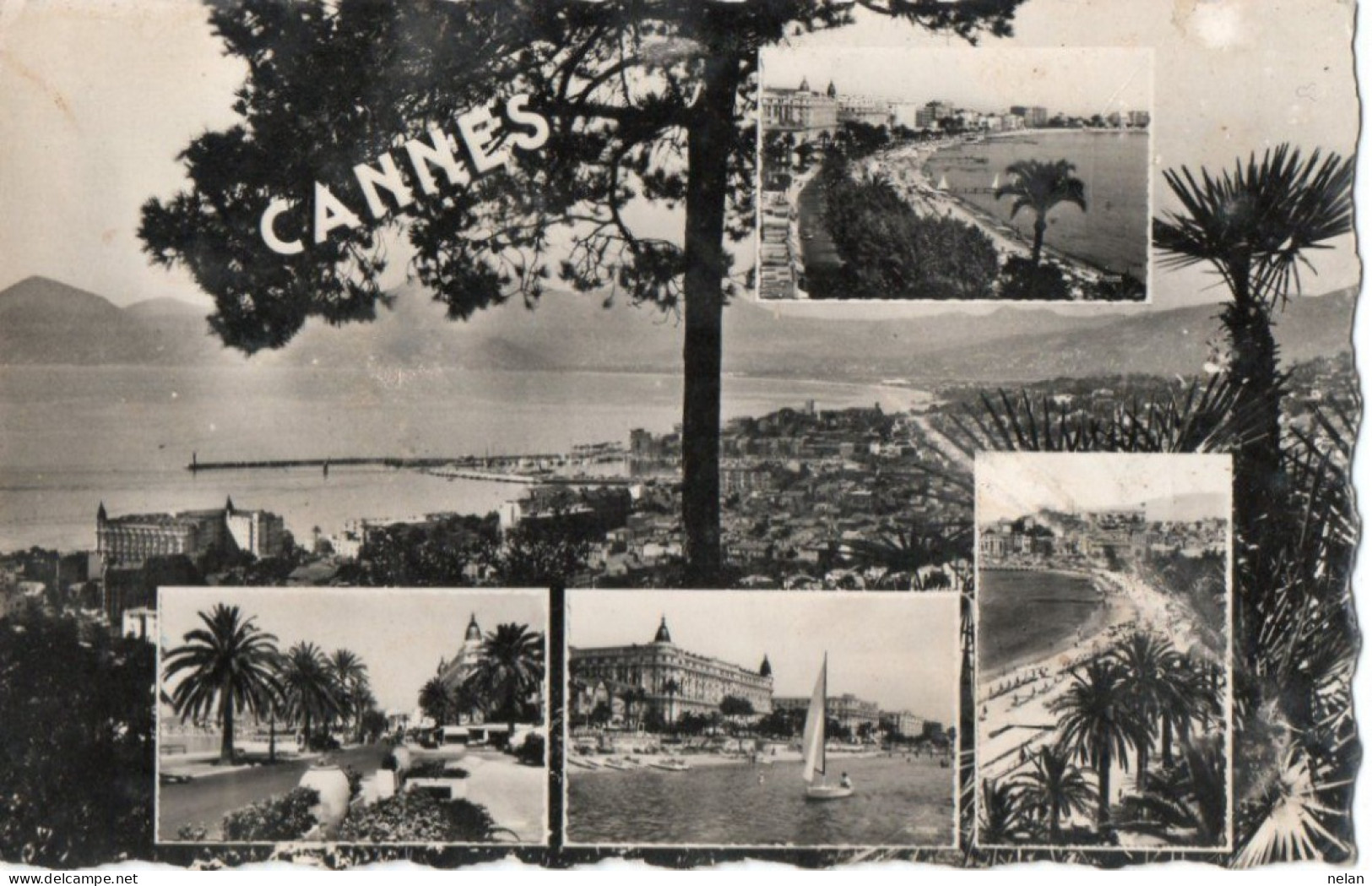 CANNES - F.P. - Cannes