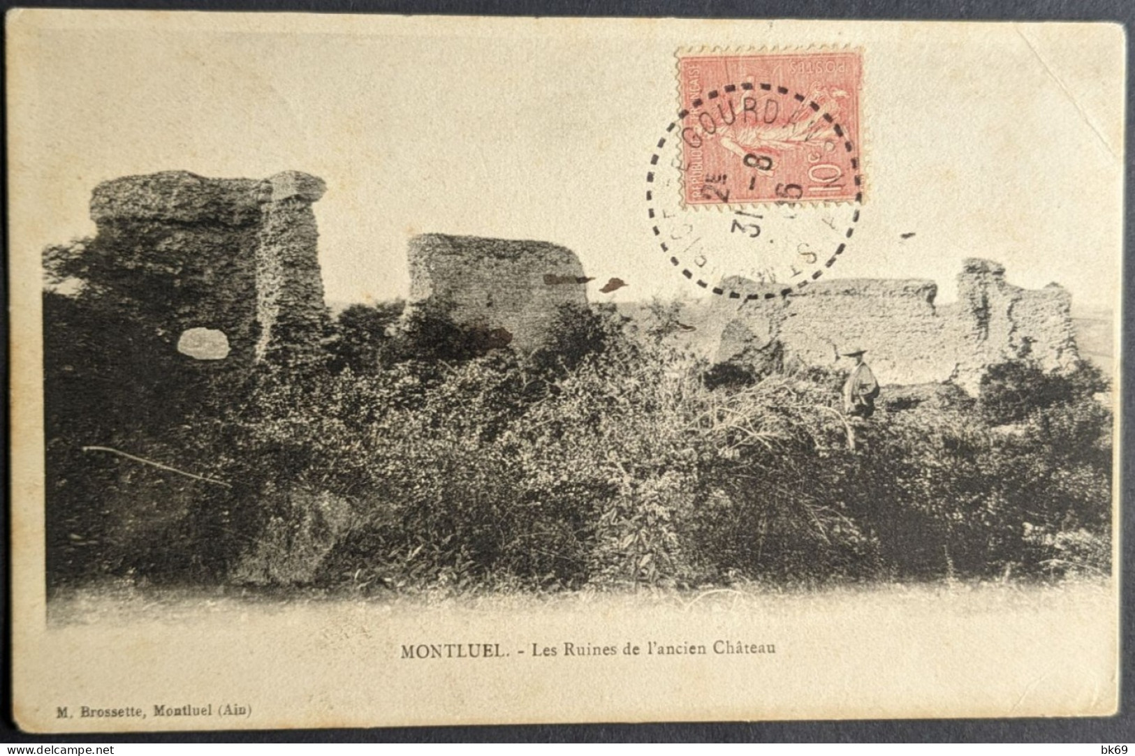 Montluel Les Ruines De L'Ancien Château - Montluel