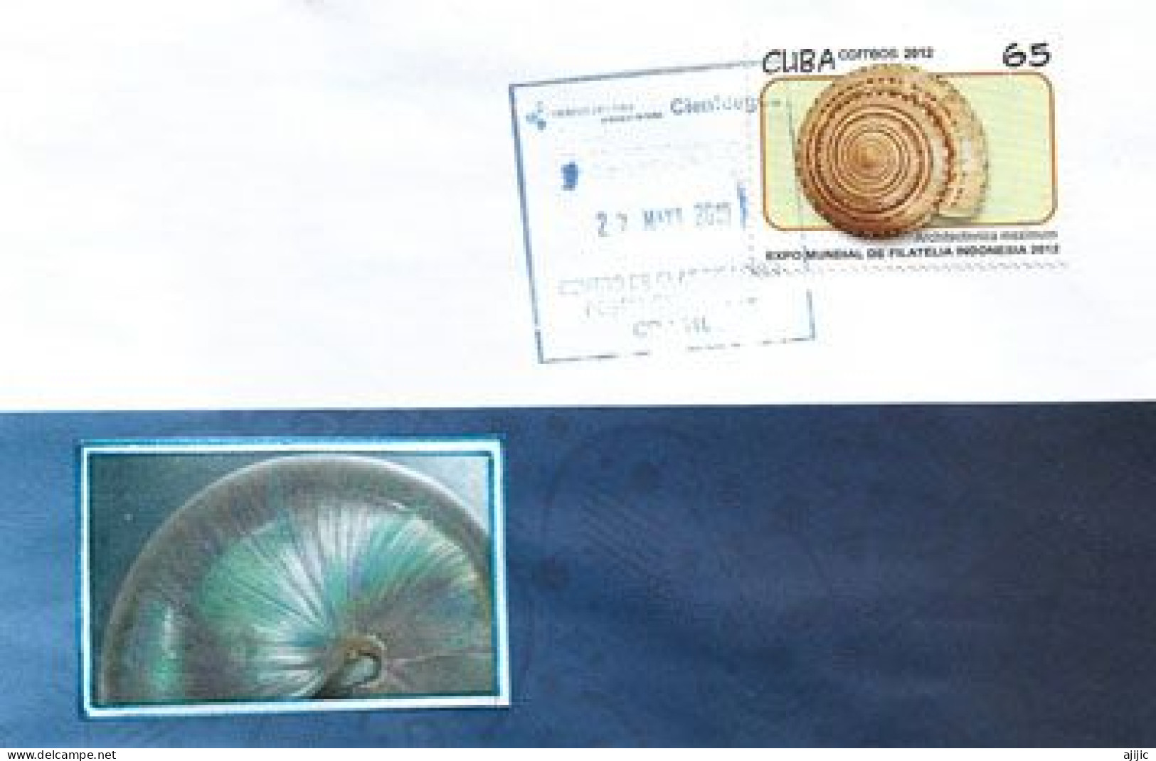 Timbre Escargot De Mer: "Cadran Solaire Géant"  Sur Lettre Cienfuegos (Cuba) - Conchas