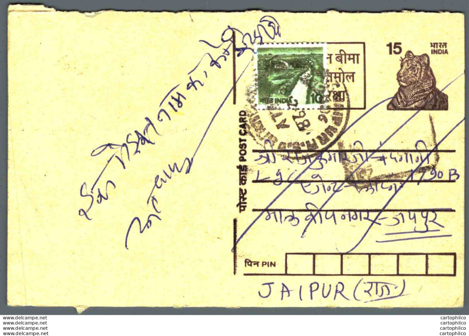 India Postal Stationery Tiger 15 To Jaipur - Postales