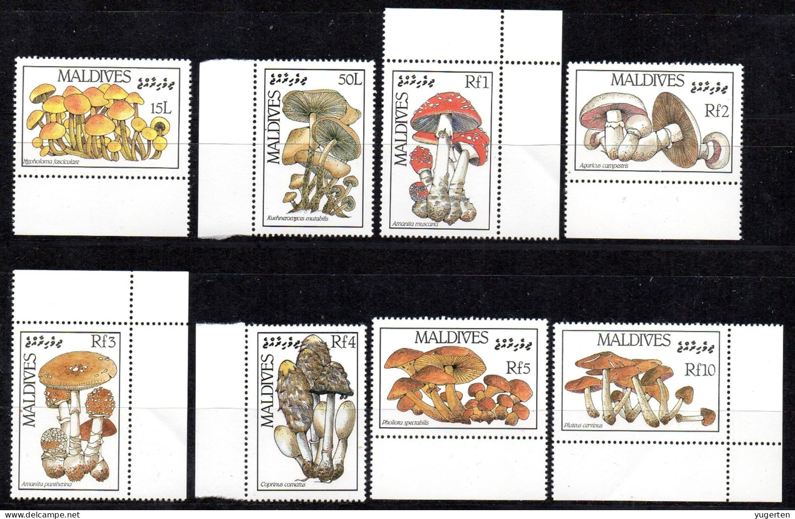 MALDIVES 1986 - 8v - MNH - Mushroom Mushrooms Champignons Pilze Hongos Funghi Cogumelos - Complete Set - Pilze