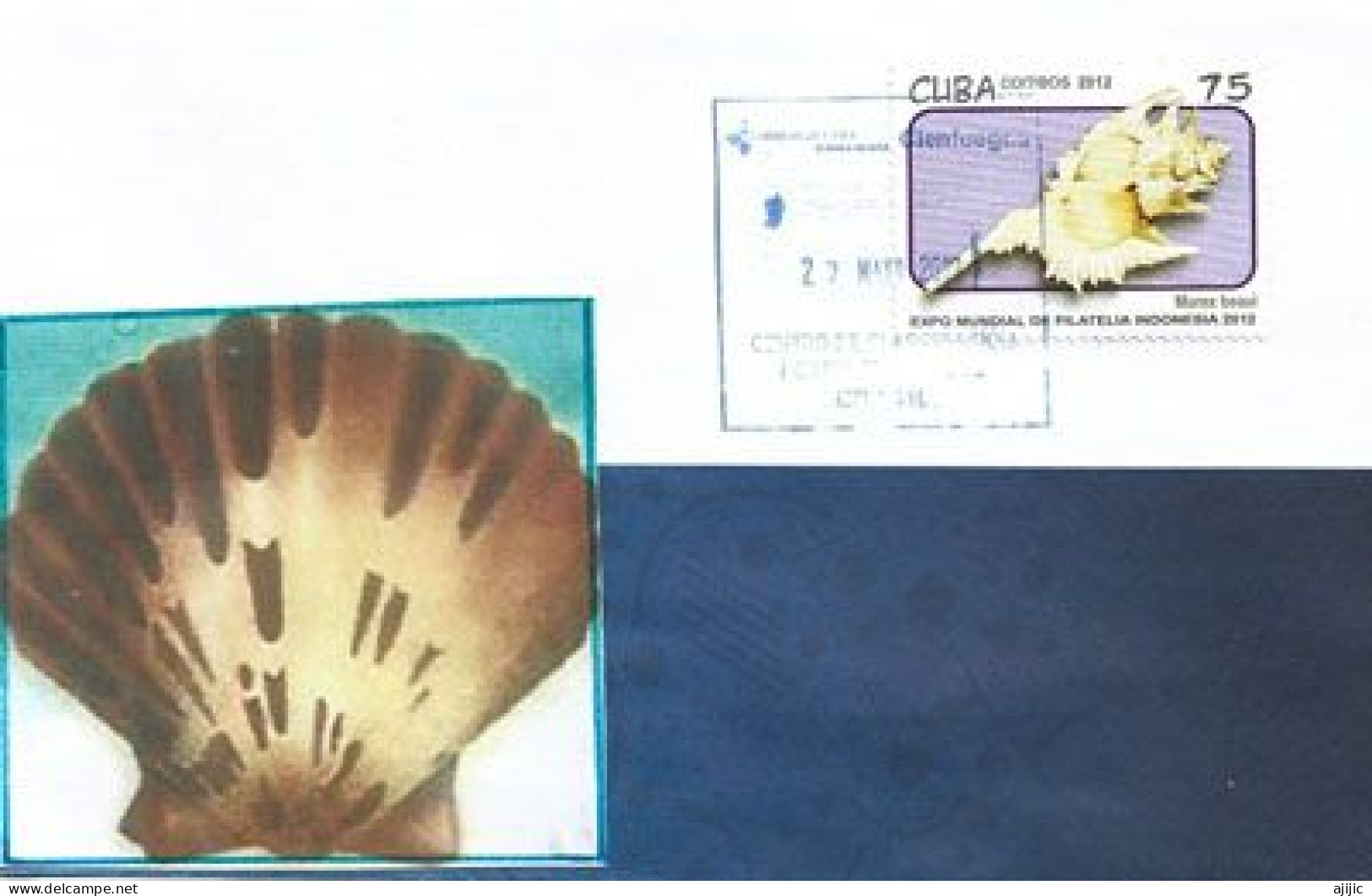 Timbre Coquillage : "Murex Beaui"  Sur Lettre Cienfuegos (Cuba) - Coquillages