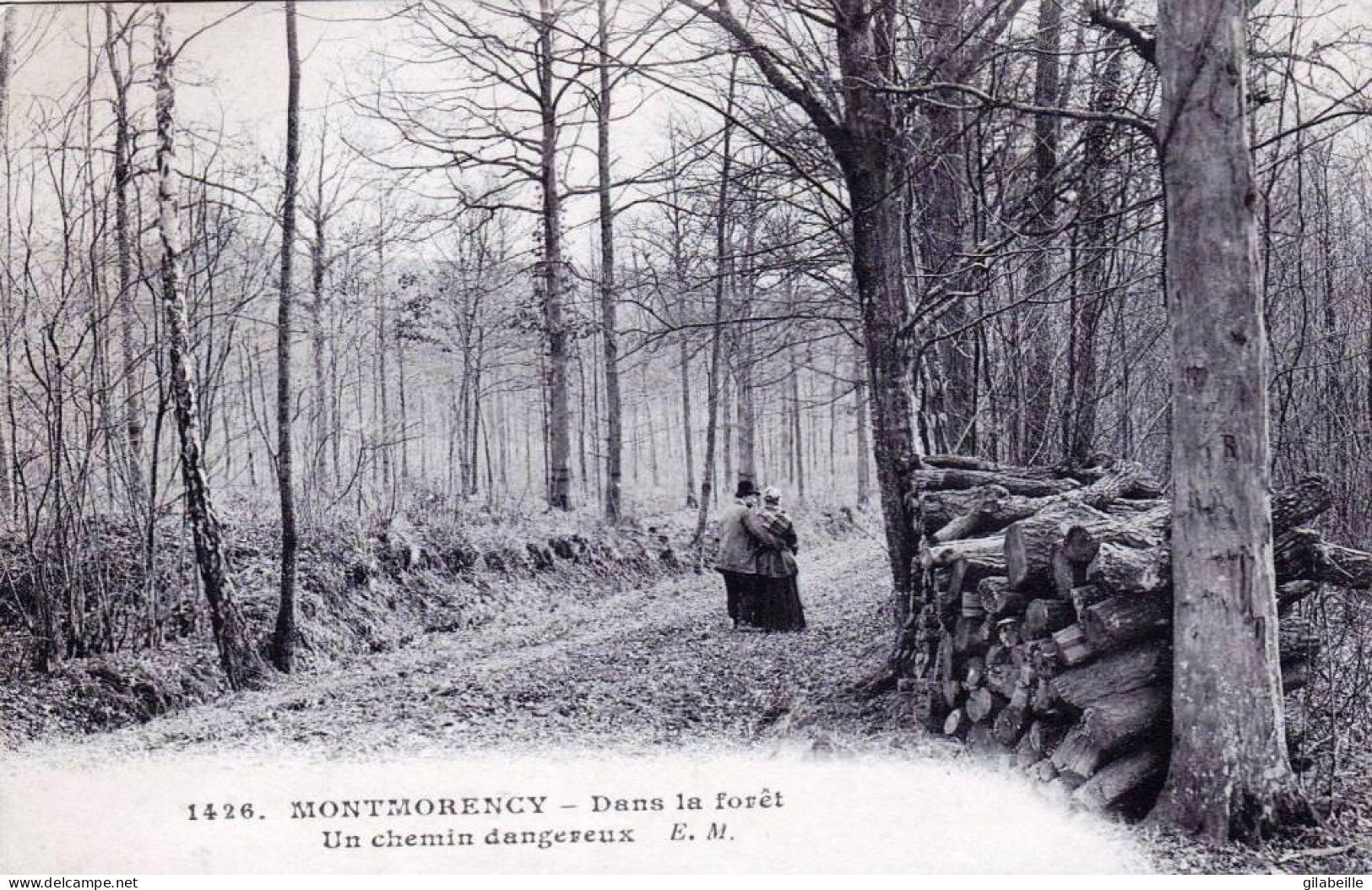 95 - Val D Oise -  MONTMORENCY -  Dans La Foret - Un Chemin Dangereux - Montmorency