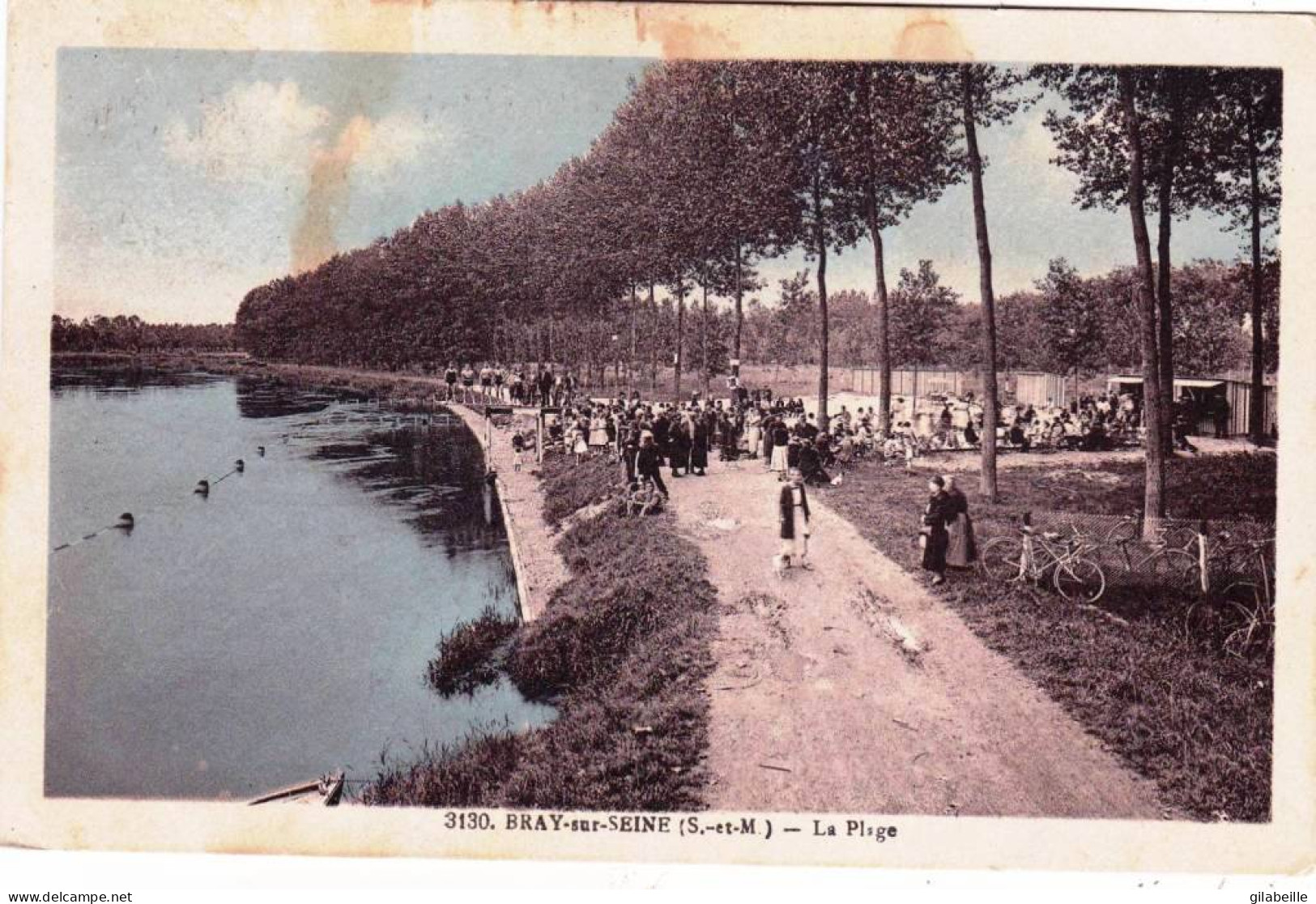 77 - Seine Et Marne -  BRAY Sur SEINE - La Plage - Bray Sur Seine