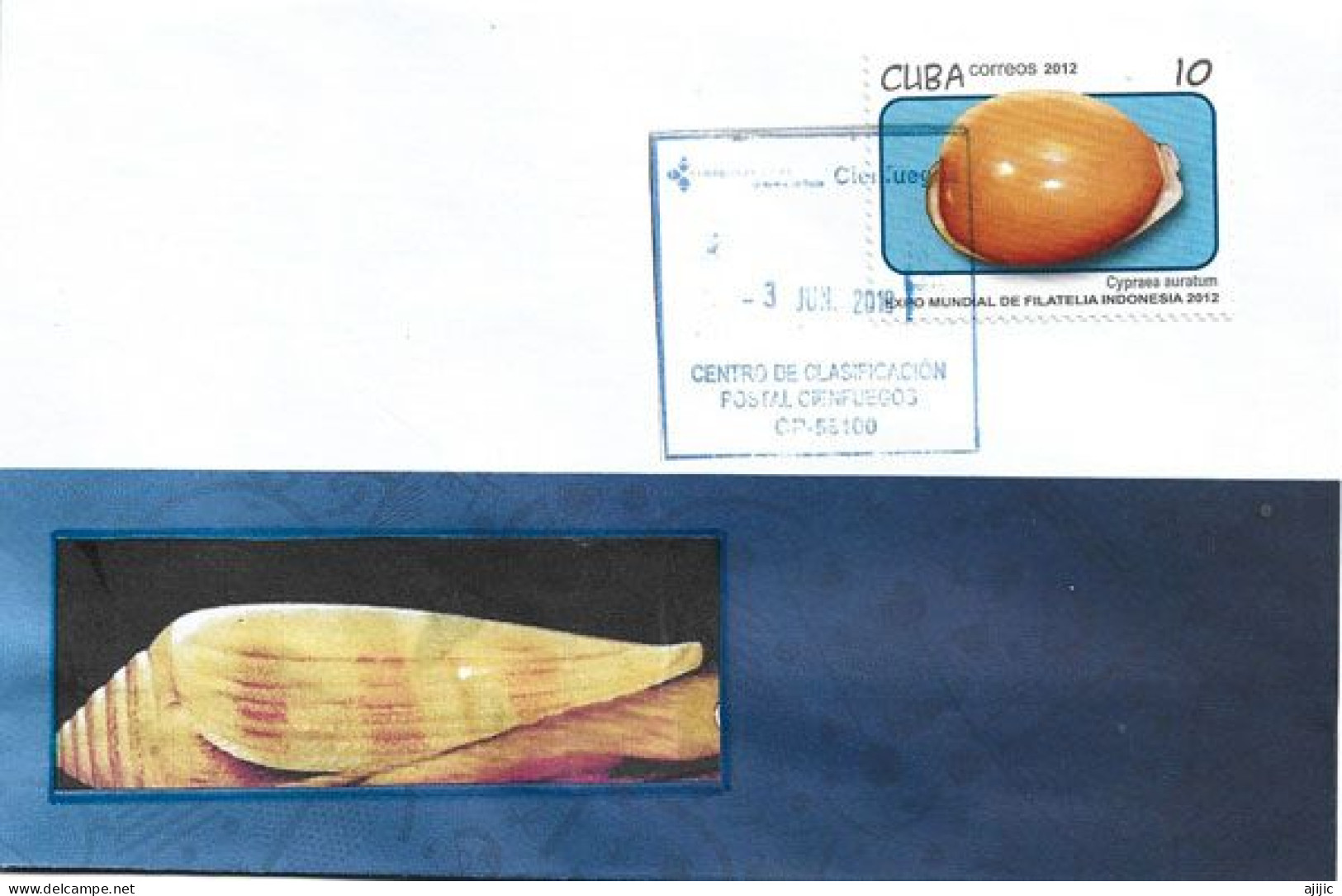 Timbre Coquillage : "Cypraea Auratum"  Sur Lettre Cienfuegos (Cuba) - Conchas