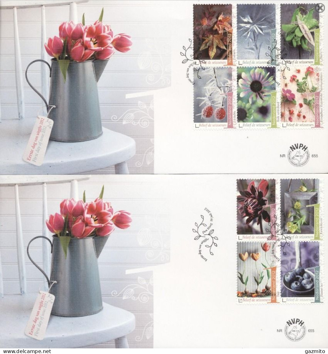 Netherlands 2012, Flowers, 10val In 2FDC - FDC