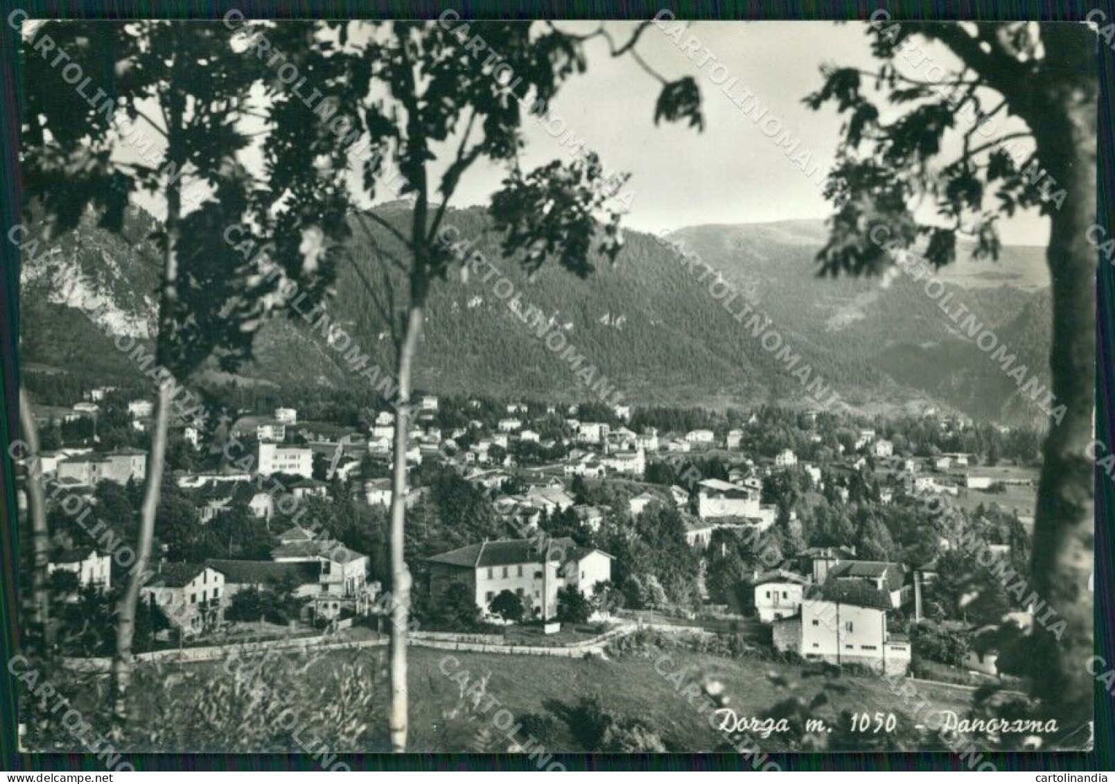 Bergamo Castione Della Presolana Dorga Foto FG Cartolina ZK5702 - Bergamo