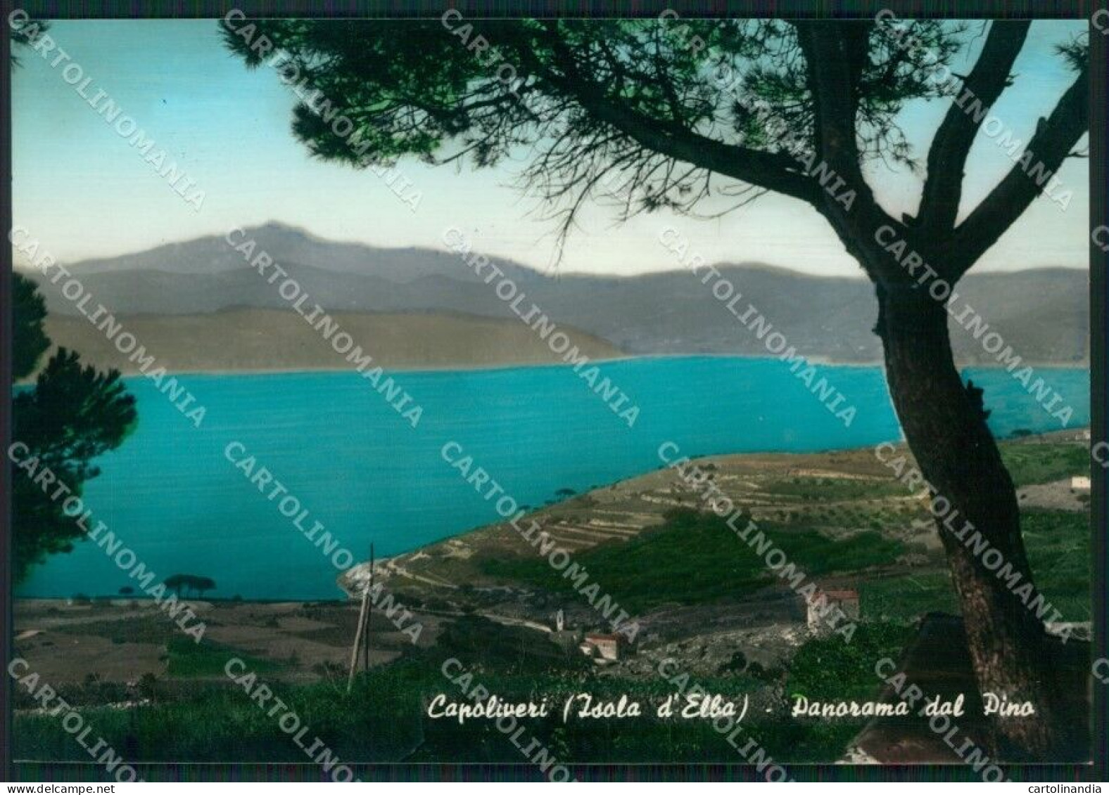 Livorno Capoliveri Isola D'Elba Foto FG Cartolina KB4122 - Livorno