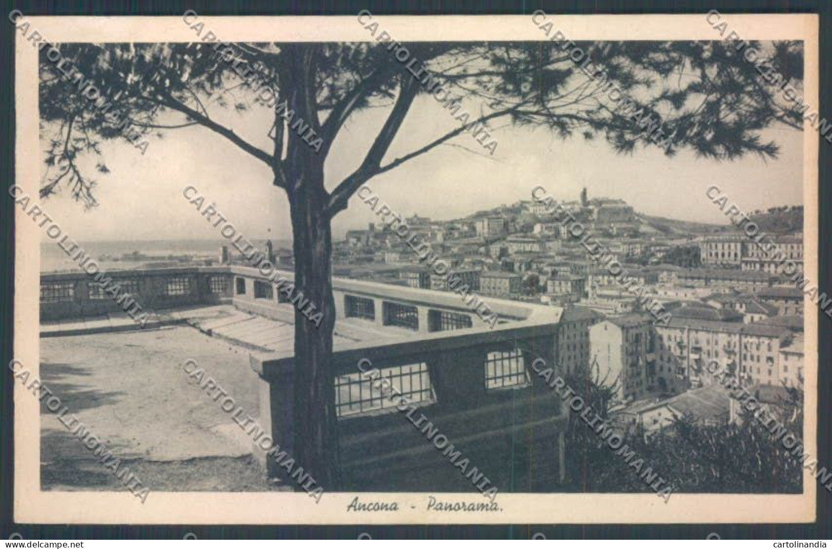 Ancona Città Cartolina ZG1790 - Ancona