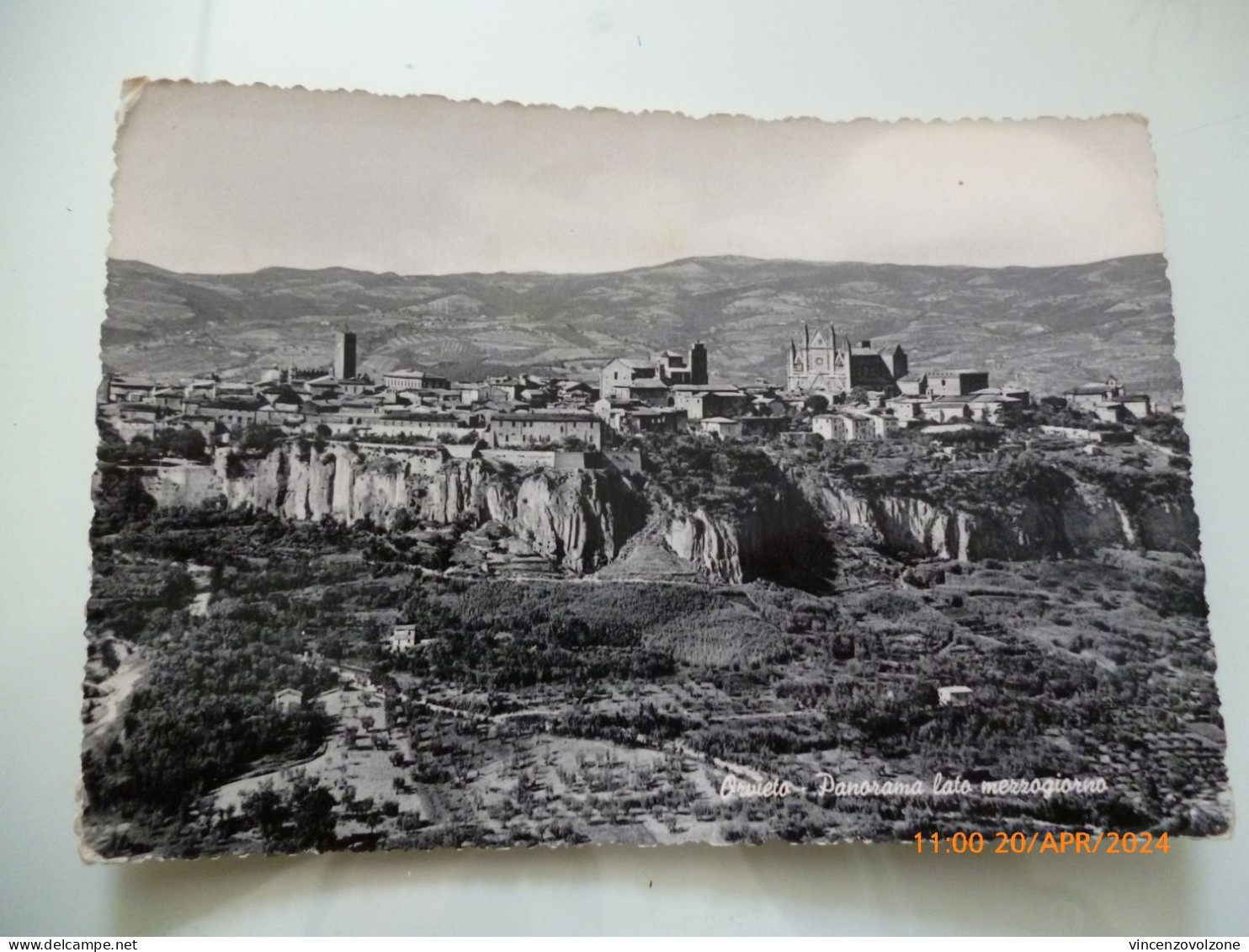 Cartolina Viaggiata "ORIVIETO Panorama Lato Mezzogiorno"   1955 - Terni