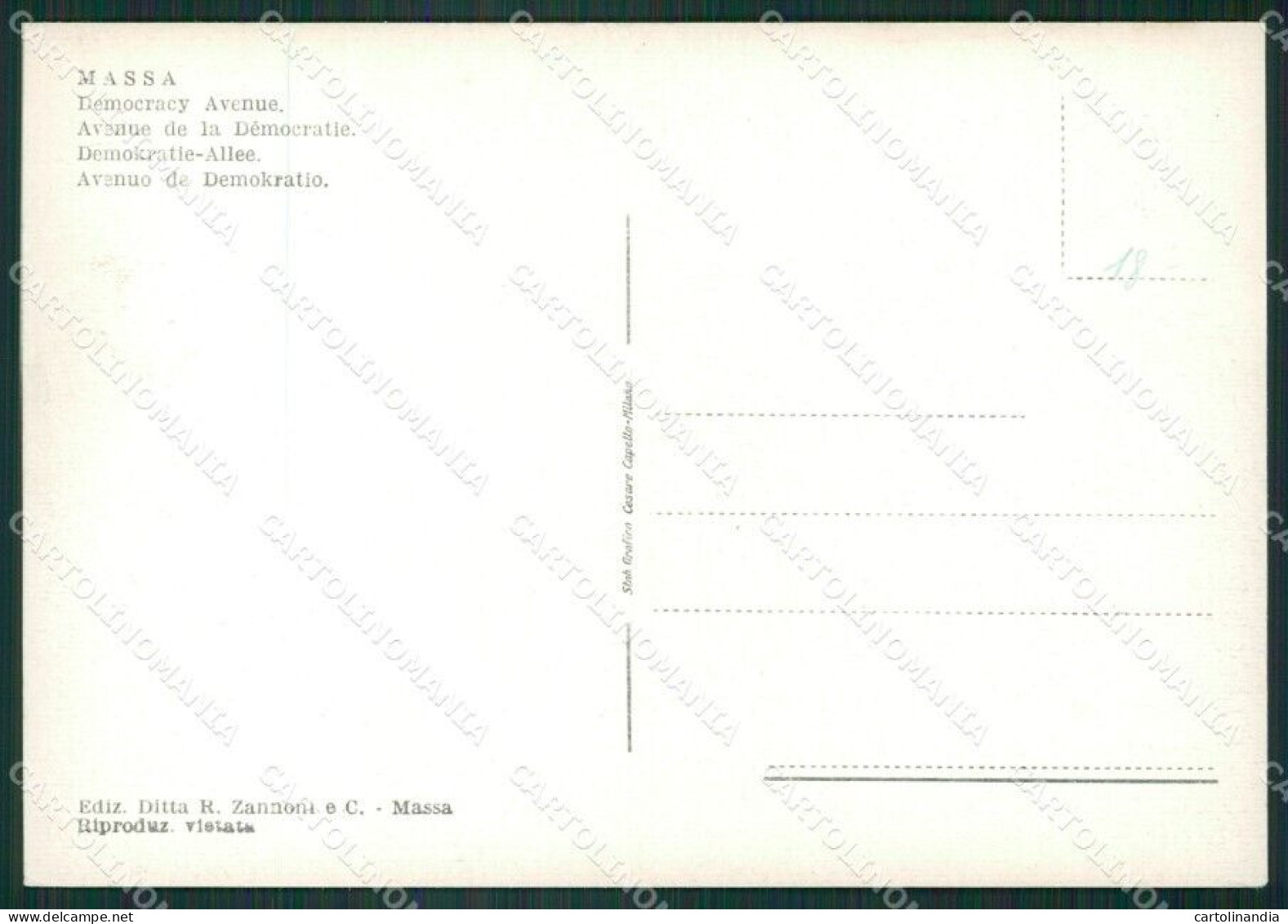 Massa FG Cartolina ZK3229 - Massa