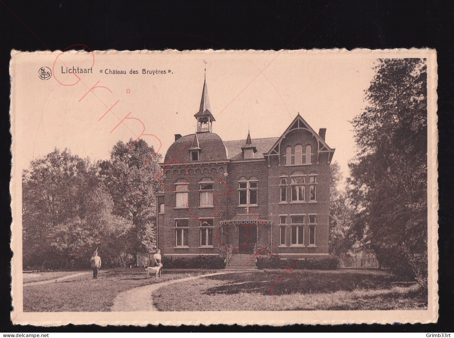 Lichtaart - Château Des Bruyères - Postkaart - Kasterlee