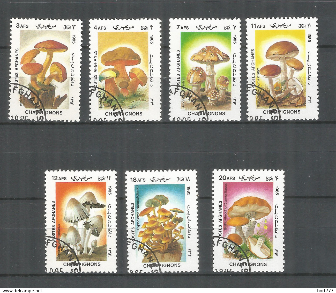 Afghanistan 1985 Year , Used Stamps Set Mushrooms - Afghanistan